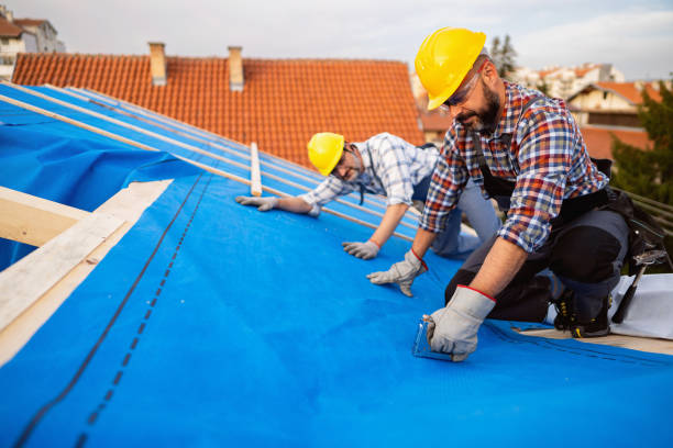 Best Roof Gutter Cleaning  in Lexington, OH
