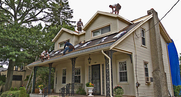 Best Gutter Installation and Roofing  in Lexington, OH