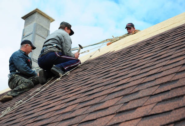 Best Roof Waterproofing Services  in Lexington, OH